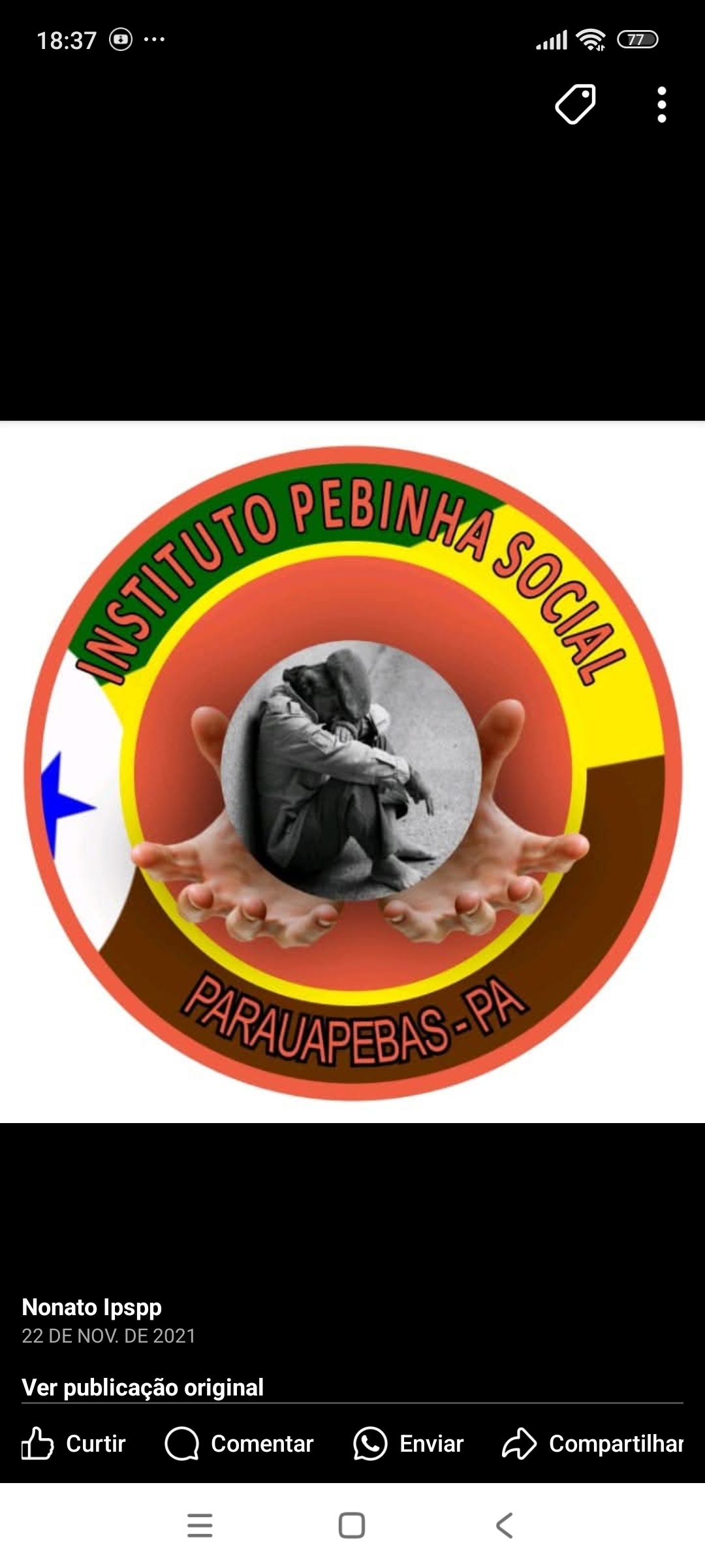 Instituto Pebinha Social Parauapebas Pará 