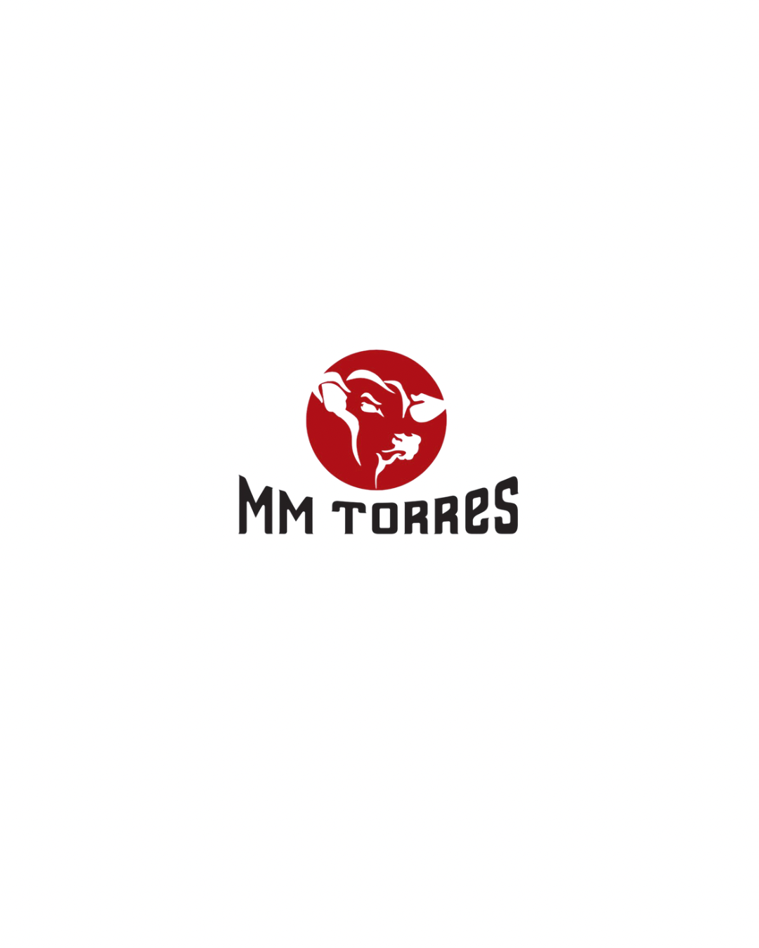 MM TORRES DISTRIBUIDORA