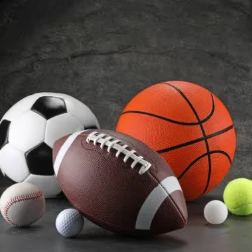 Esportes e Acessórios 